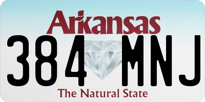 AR license plate 384MNJ
