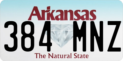 AR license plate 384MNZ