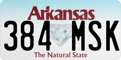 AR license plate 384MSK