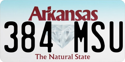 AR license plate 384MSU