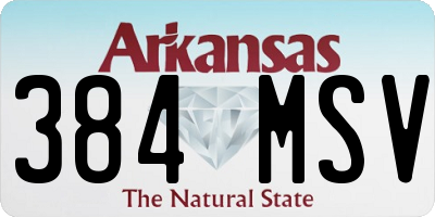 AR license plate 384MSV