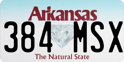 AR license plate 384MSX