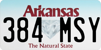 AR license plate 384MSY