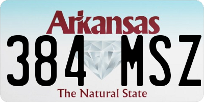 AR license plate 384MSZ