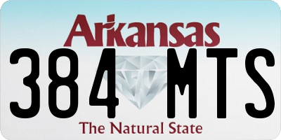 AR license plate 384MTS
