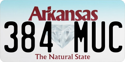 AR license plate 384MUC