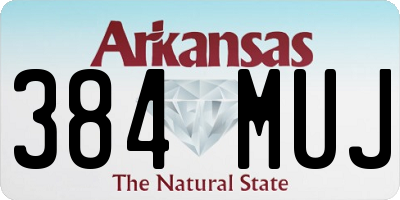 AR license plate 384MUJ