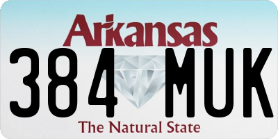 AR license plate 384MUK