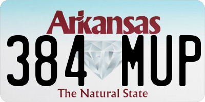 AR license plate 384MUP