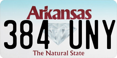 AR license plate 384UNY