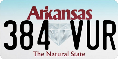 AR license plate 384VUR