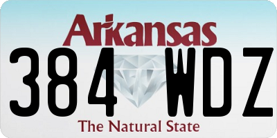 AR license plate 384WDZ