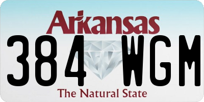 AR license plate 384WGM