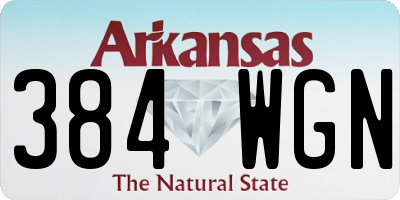 AR license plate 384WGN