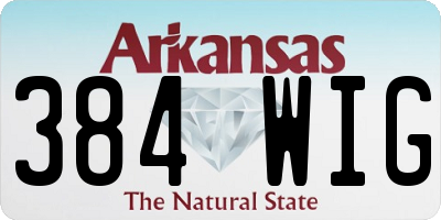 AR license plate 384WIG