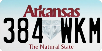 AR license plate 384WKM