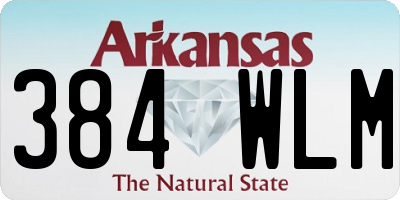 AR license plate 384WLM