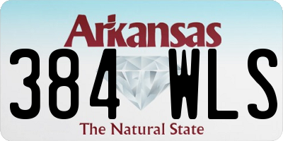 AR license plate 384WLS