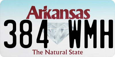 AR license plate 384WMH