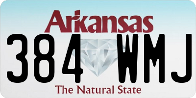 AR license plate 384WMJ