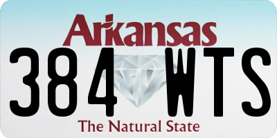 AR license plate 384WTS