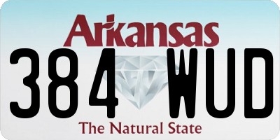 AR license plate 384WUD