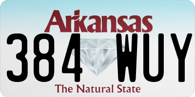 AR license plate 384WUY