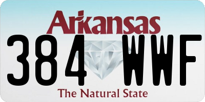 AR license plate 384WWF