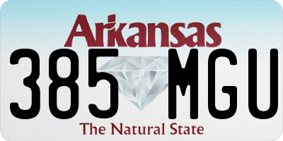 AR license plate 385MGU