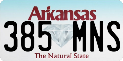 AR license plate 385MNS
