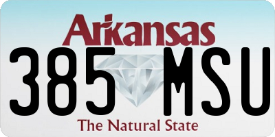 AR license plate 385MSU