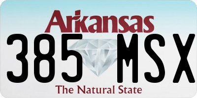 AR license plate 385MSX