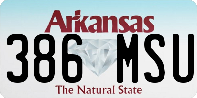 AR license plate 386MSU