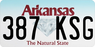 AR license plate 387KSG
