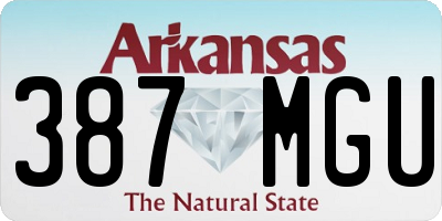 AR license plate 387MGU