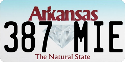 AR license plate 387MIE