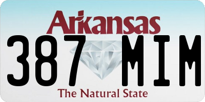 AR license plate 387MIM
