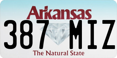 AR license plate 387MIZ