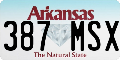 AR license plate 387MSX