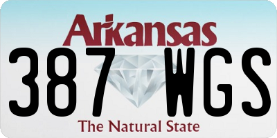 AR license plate 387WGS