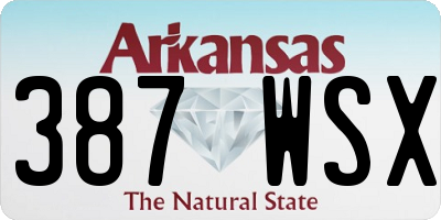 AR license plate 387WSX