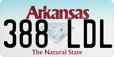 AR license plate 388LDL