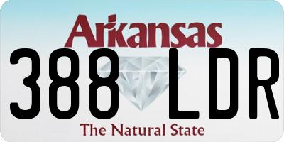 AR license plate 388LDR