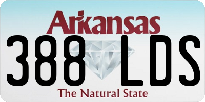 AR license plate 388LDS