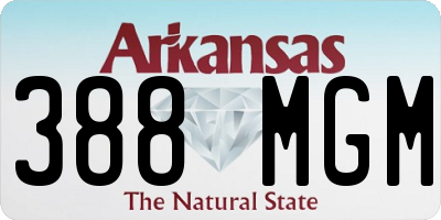 AR license plate 388MGM
