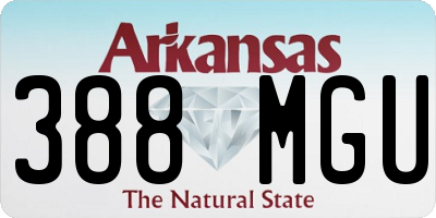 AR license plate 388MGU