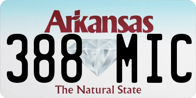 AR license plate 388MIC