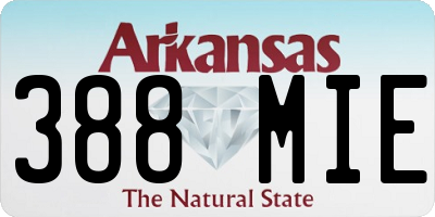 AR license plate 388MIE
