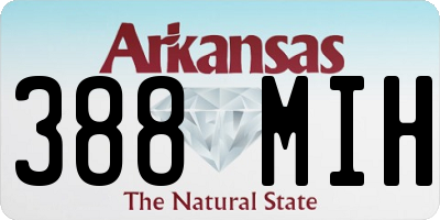 AR license plate 388MIH