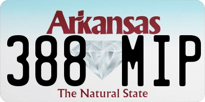 AR license plate 388MIP